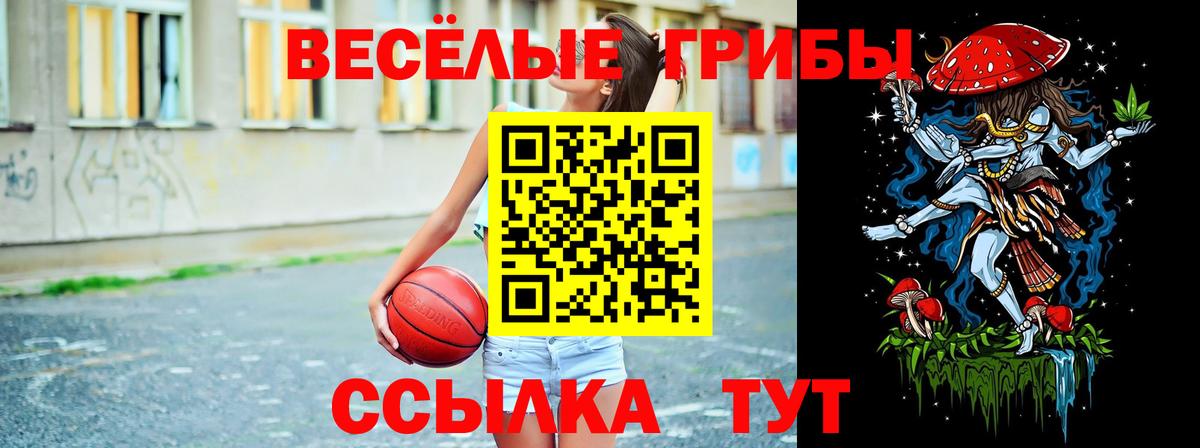 Псилоцибиновые грибы Magic Shrooms Рубцовск