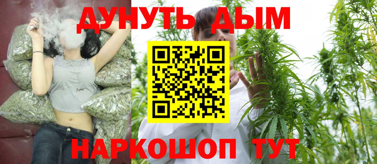 МАРИХУАНА сатива Рубцовск